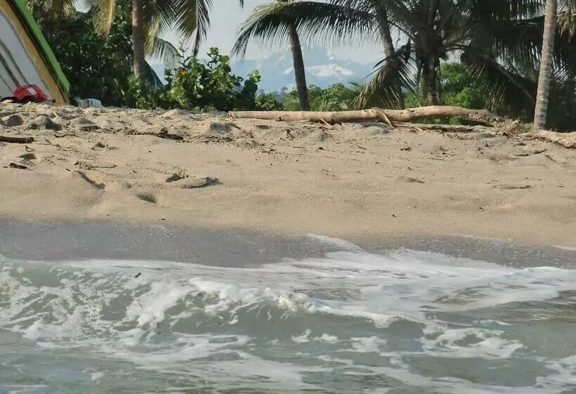 ホテル La Rivera Playa Palomino