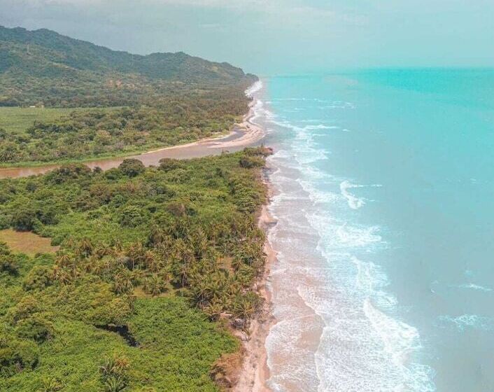 هتل La Rivera Playa Palomino