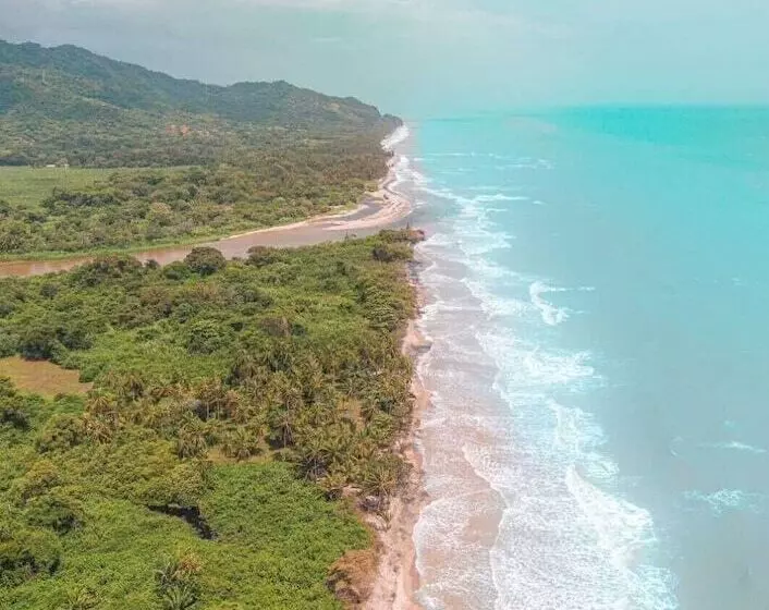 ホテル La Rivera Playa Palomino
