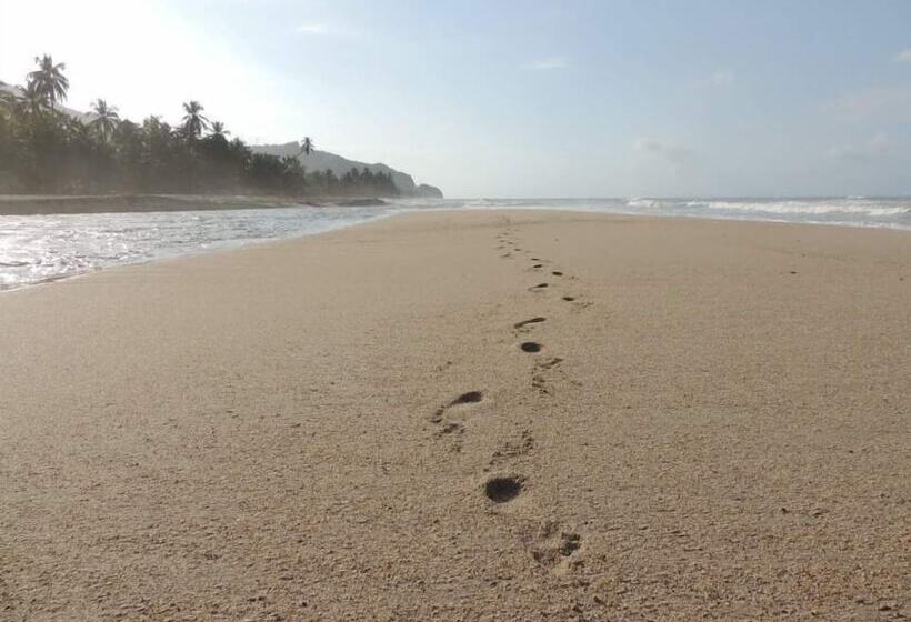 هتل La Rivera Playa Palomino