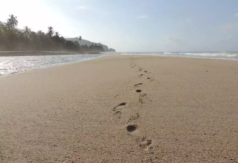 ホテル La Rivera Playa Palomino