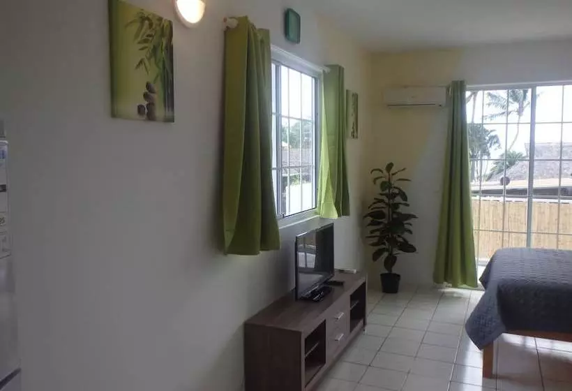 Apartment Studio Halfon