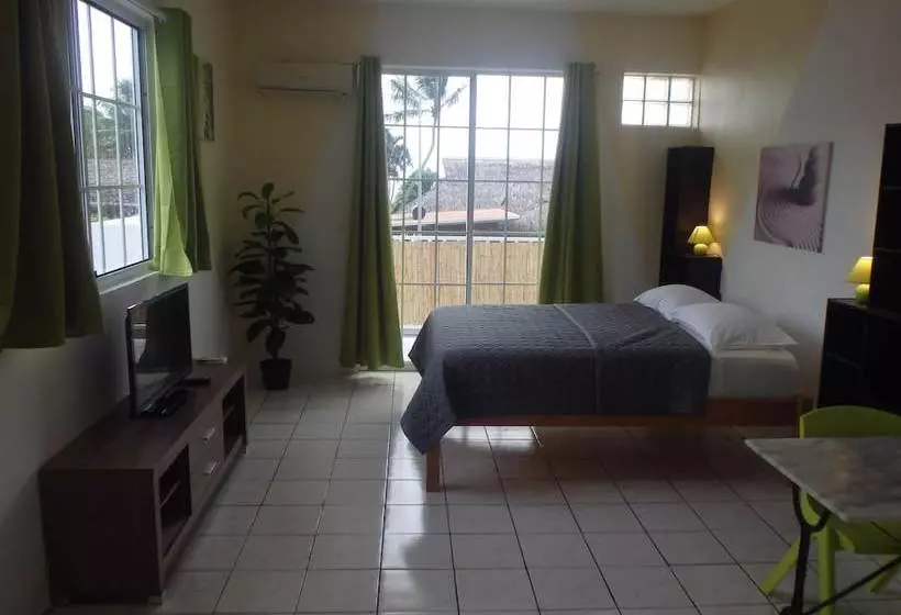 Apartment Studio Halfon