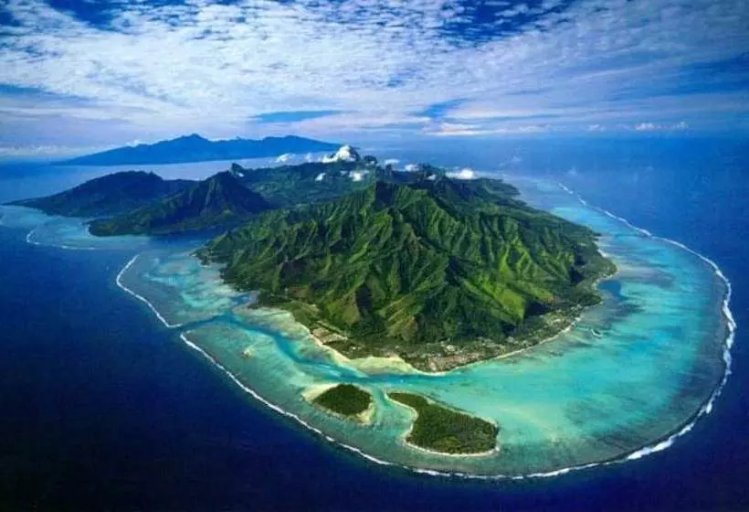 Apartment Studio Halfon