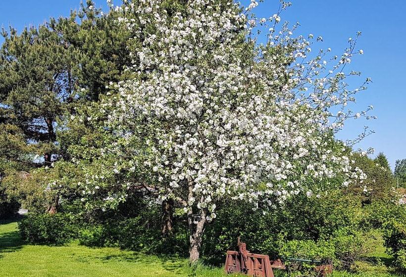 Apartment Garage House