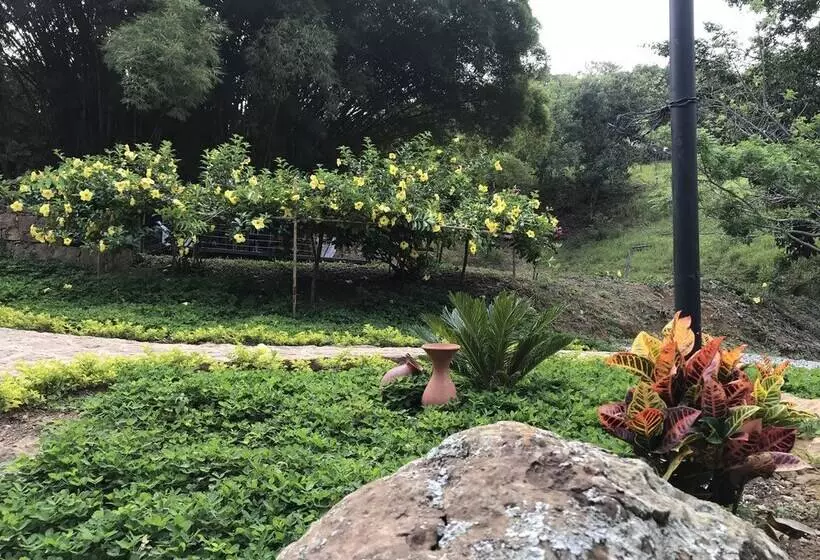 Casas De Campo El Ciruelo