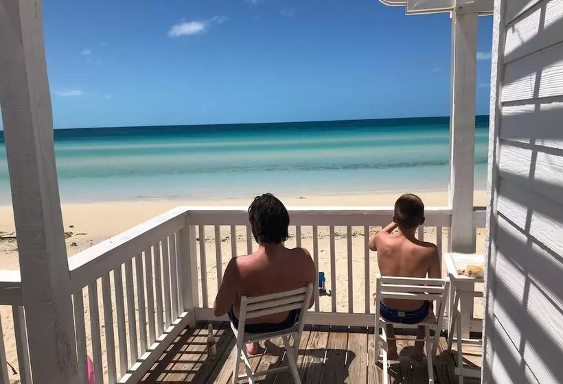Cool Cloud House