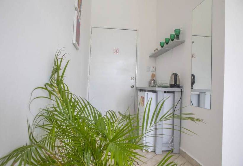 Everything Punta Cana Art