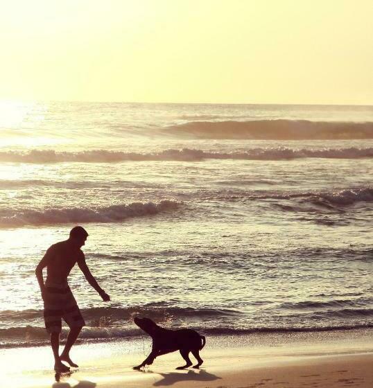 Fio's House By The Sea