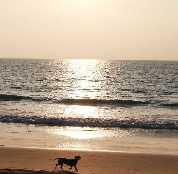 Fio's House By The Sea