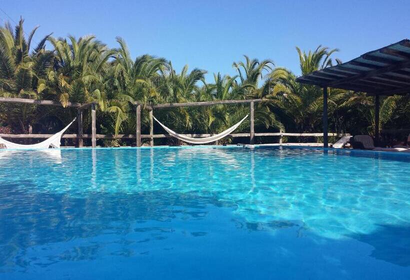 هتل Agroturismo Ca Na Joaneta