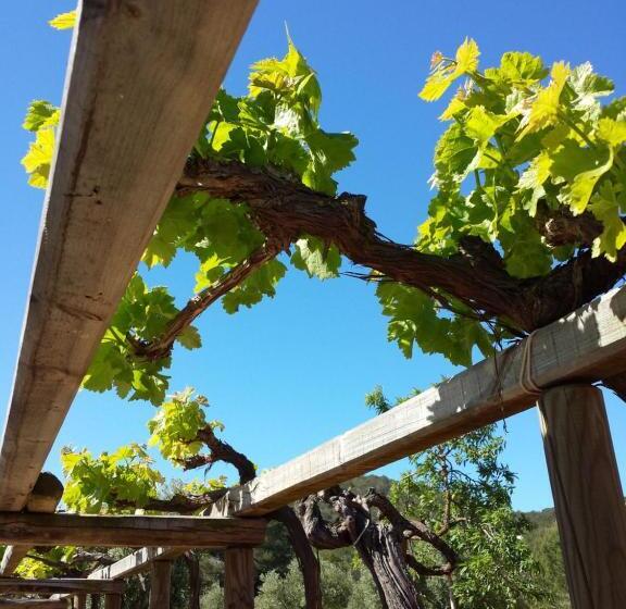 هتل Agroturismo Ca Na Joaneta