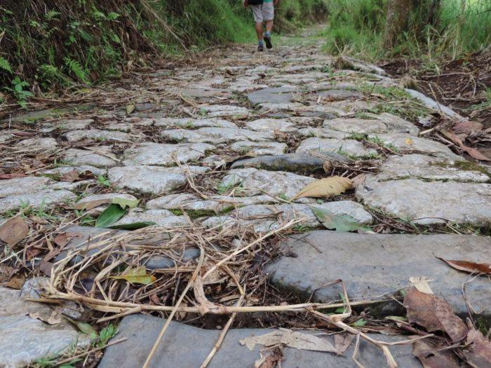 Отель Boutique Quinta Tibigaro