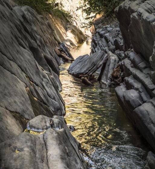 Отель Boutique Quinta Tibigaro