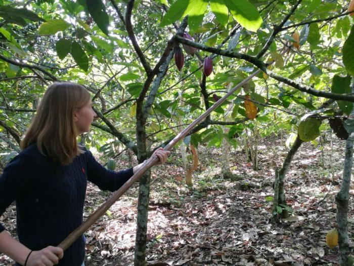 Отель Boutique Quinta Tibigaro