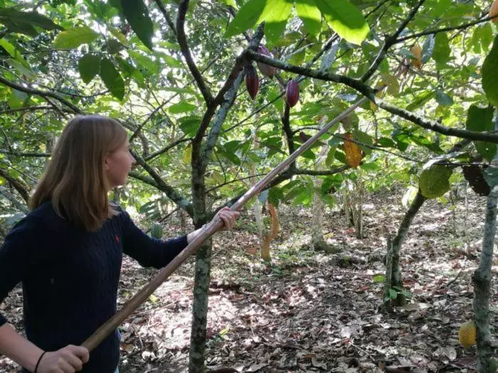 Hotelli Boutique Quinta Tibigaro