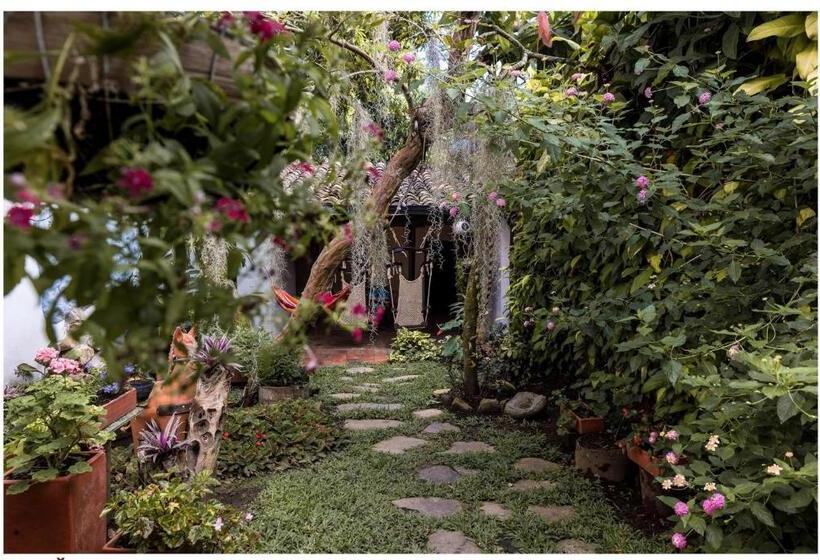 Отель Boutique Quinta Tibigaro