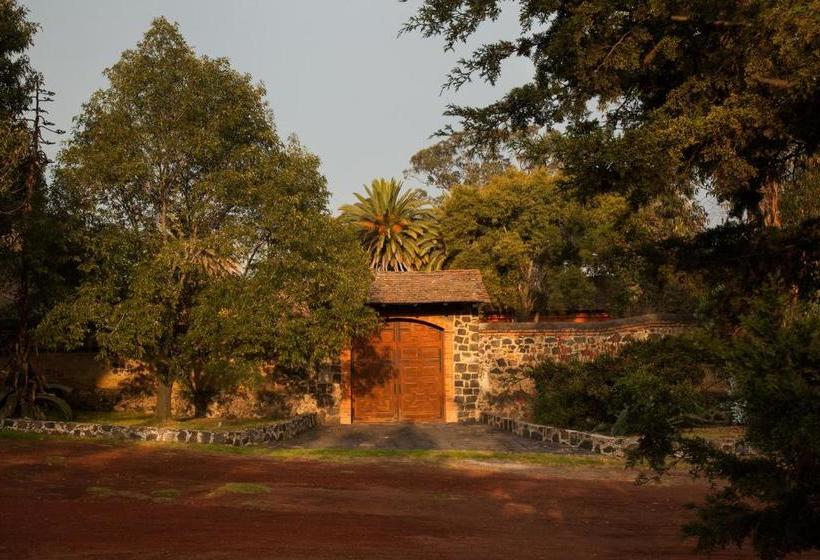 호텔 Hacienda San Andrés