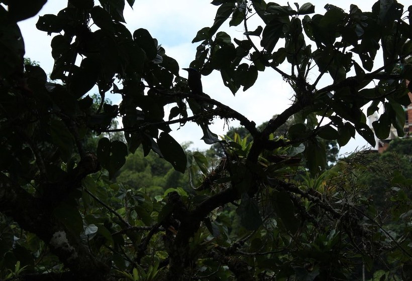 فندق Otrolado Lodge