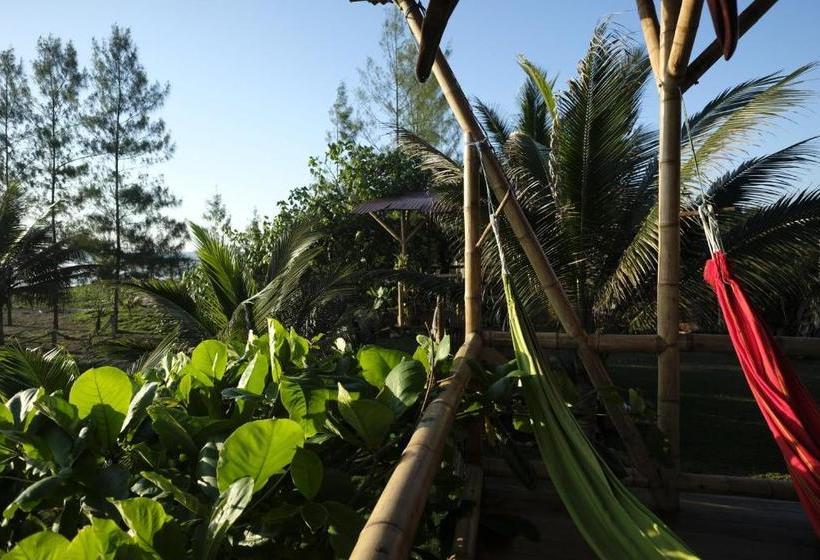 Pension El Refugio Ayampe