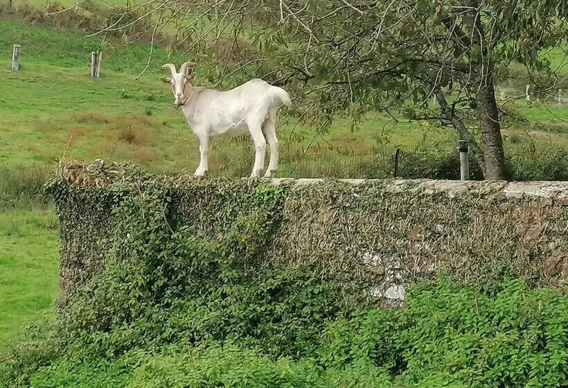 ペンション La Parisiere