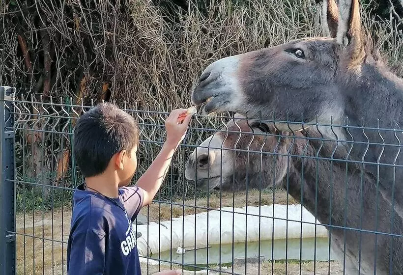 ペンション La Parisiere