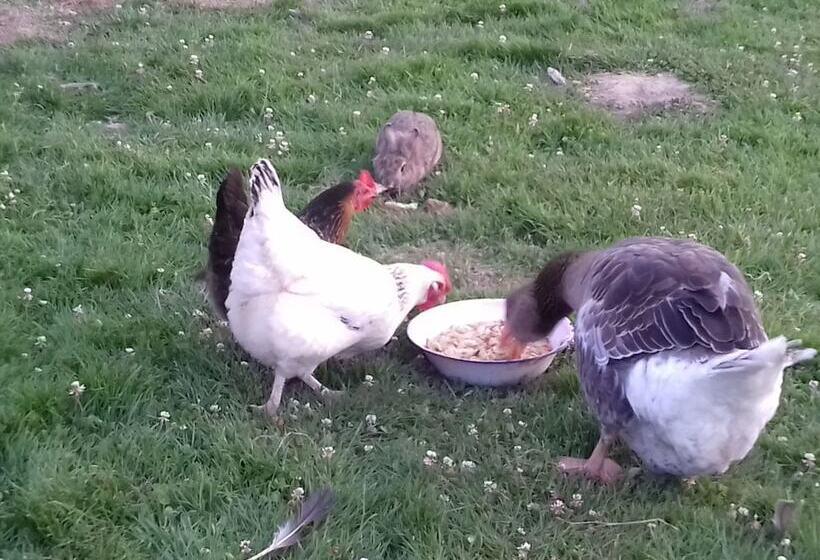 ペンション La Parisiere