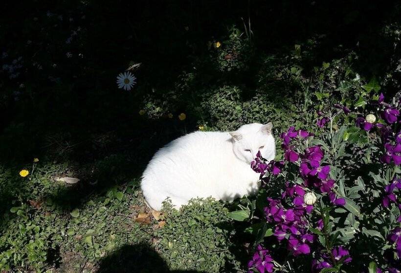 膳宿费 Le Logis De La Lande