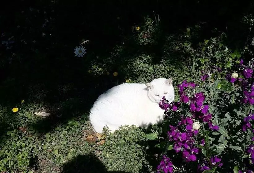 ペンション Le Logis De La Lande