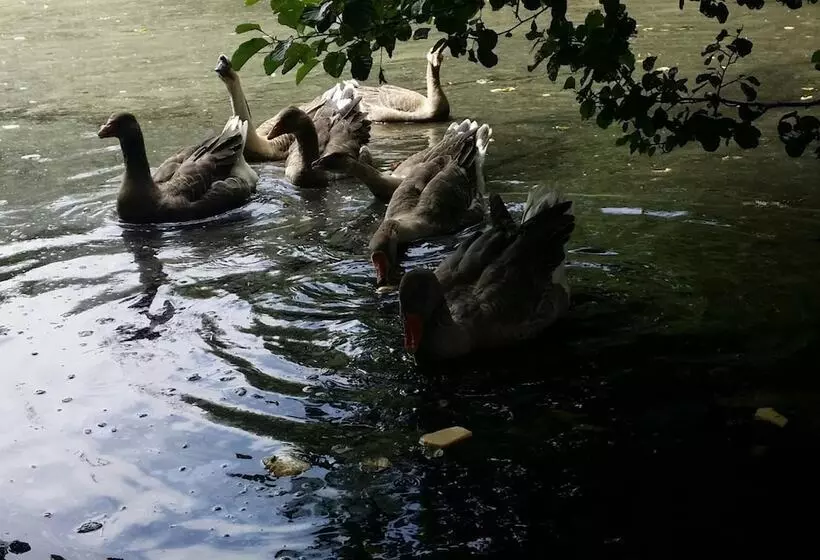 ペンション Le Logis De La Lande