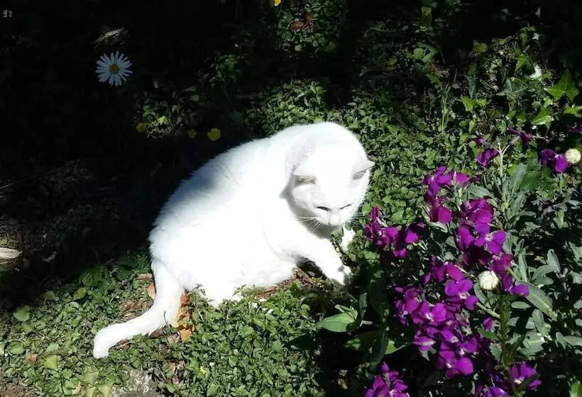 ペンション Le Logis De La Lande