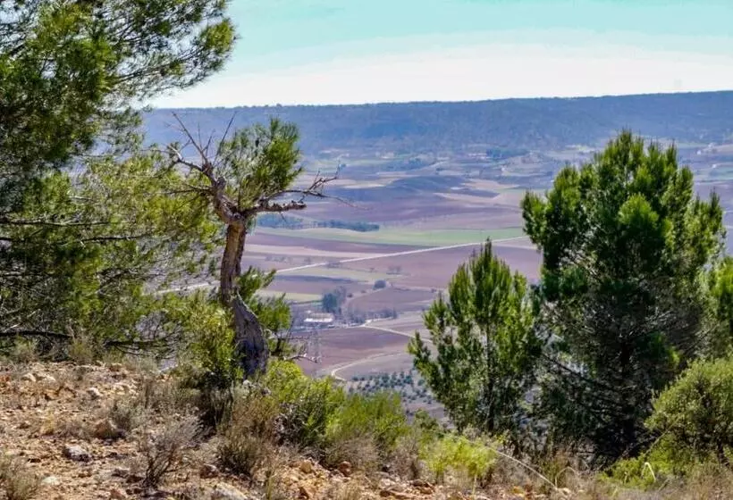 Casas Rurales Tio Mora