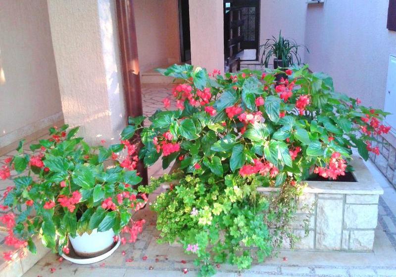 בית מלון כפרי Apartments Miljenko