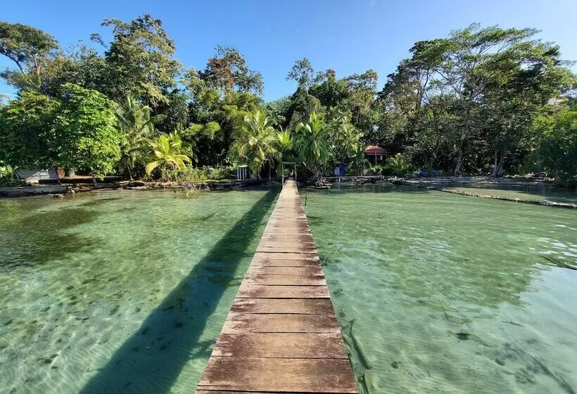 ホテル The Sea Monkey