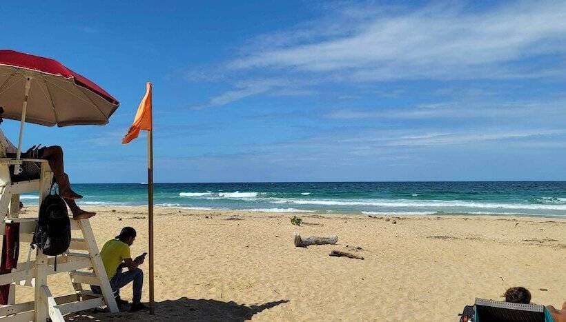 فندق The Sea Monkey