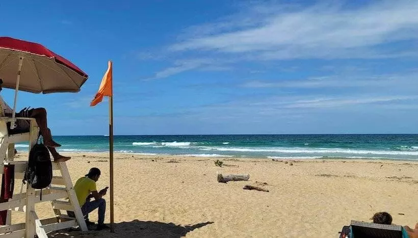 ホテル The Sea Monkey