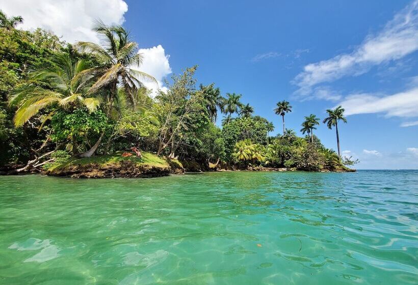 فندق The Sea Monkey