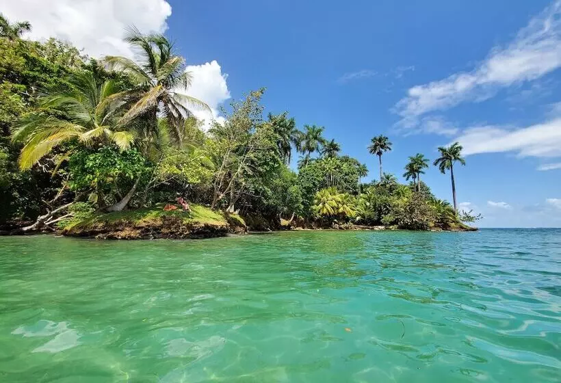 ホテル The Sea Monkey