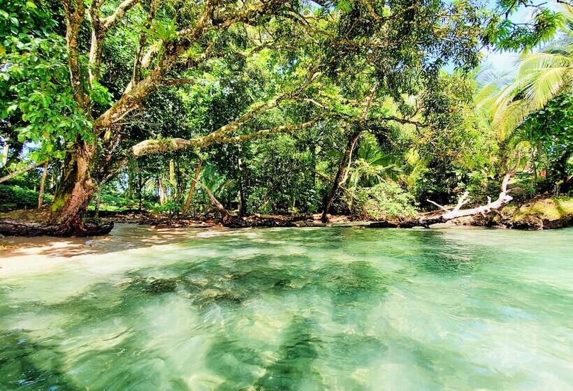 فندق The Sea Monkey