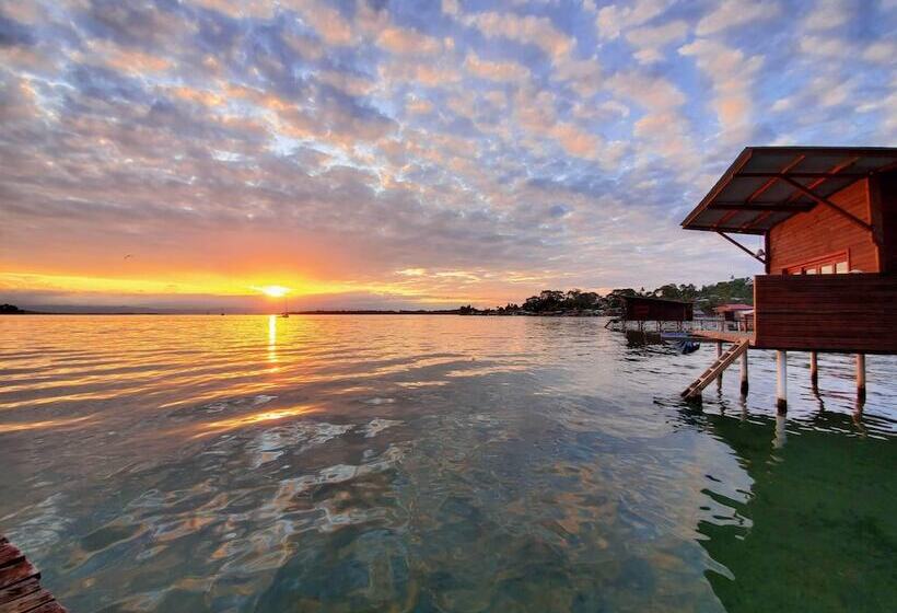 فندق The Sea Monkey