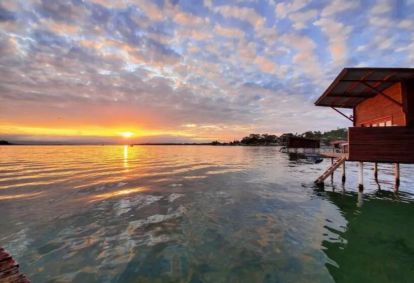 ホテル The Sea Monkey