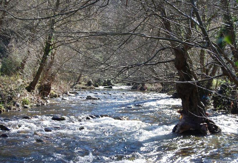 La Casina Llena De Amor