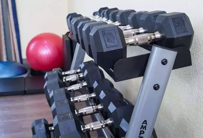 ホテル Hampton Inn & Suites Conway