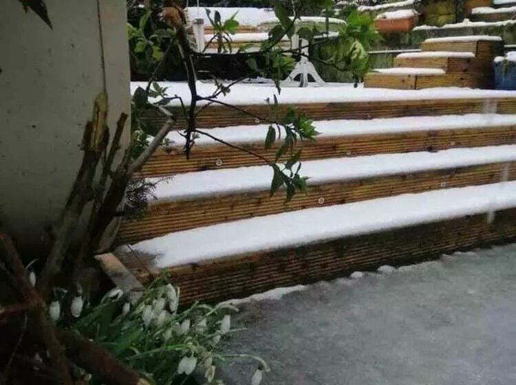 Midden Manor Country Stay On A Working Dairy Farm