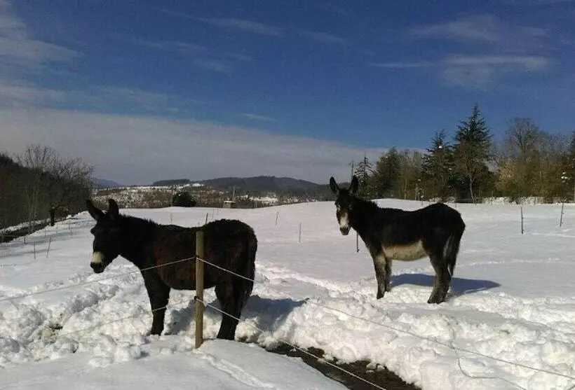 Aamiaismajoitus (B&B) Le Bouchon De Campagne