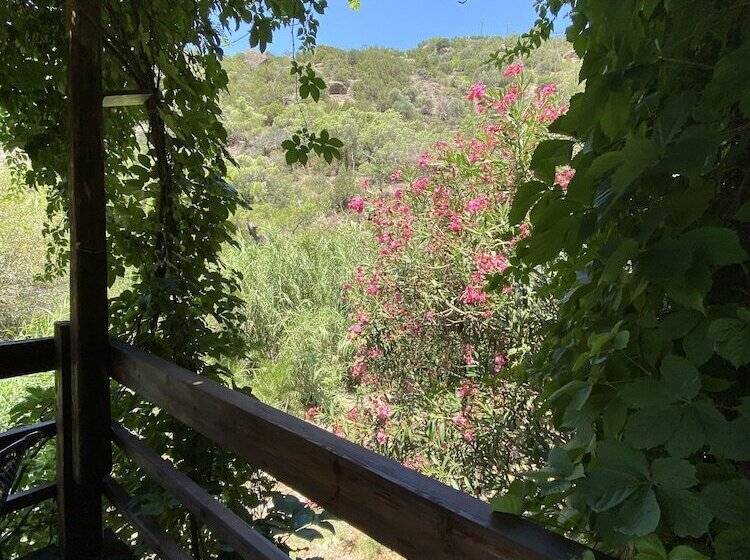 Oleander S Garden Traditional Cretan Cottage