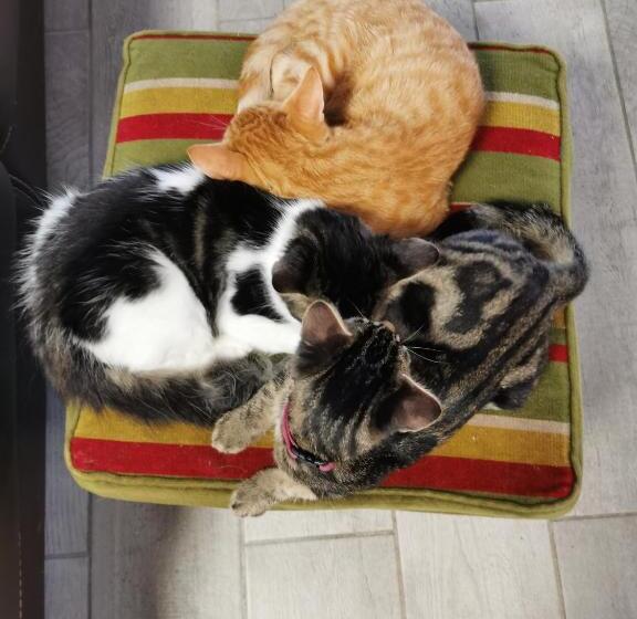 Пансион Auberge Le Gabachou