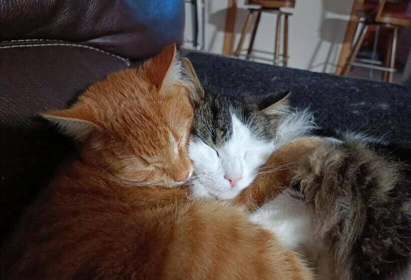 Пансион Auberge Le Gabachou