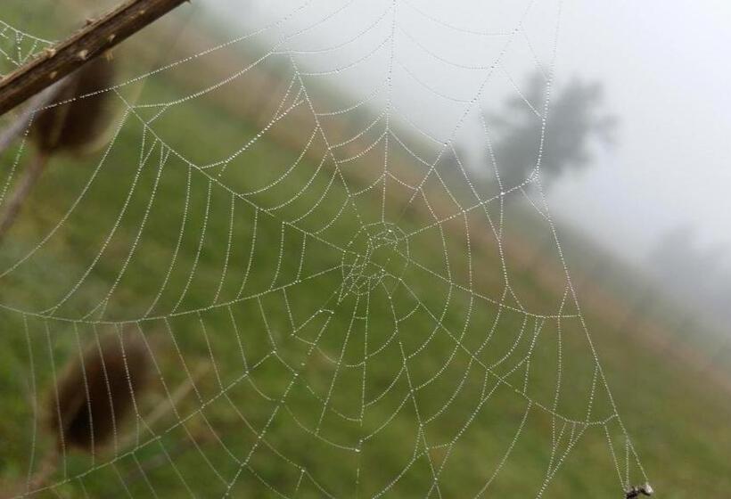 Пансион Auberge Le Gabachou