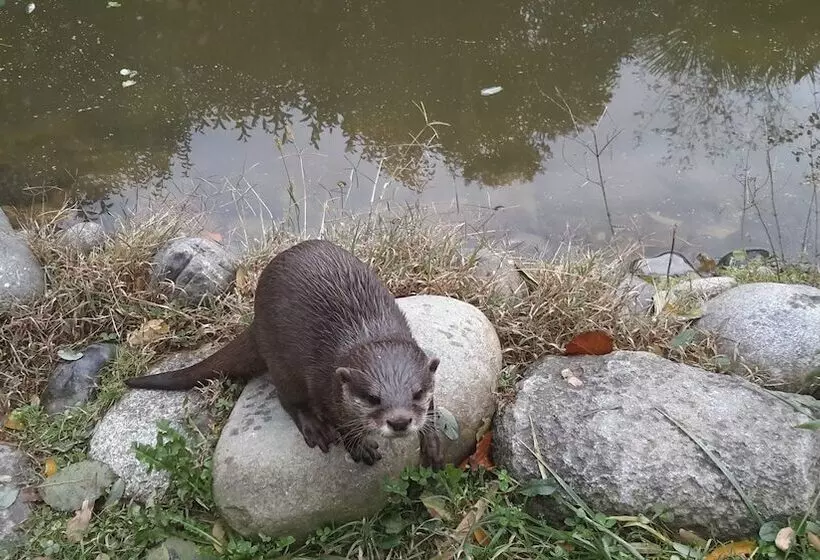Aamiaismajoitus (B&B) Les Hauts De Hurlevents   Le Buffalo
